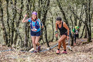 Trail Des Cèdres 2023 (Edition 14)